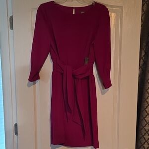 Vince Camuto Fuchsia Long Sleeve Dress